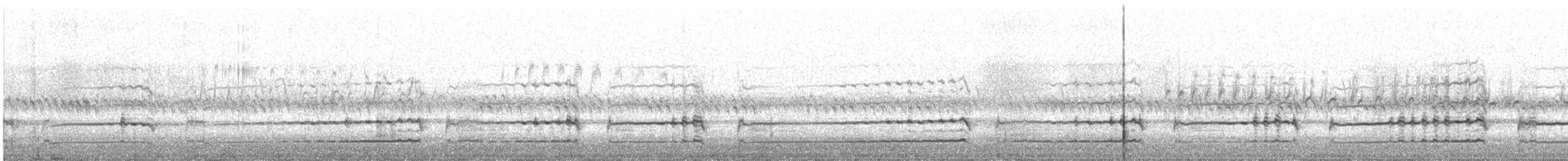 raroh prériový - ML239916281