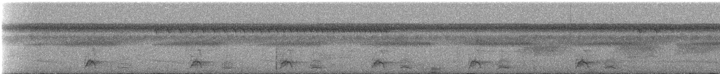 Kara Karınlı Sincap Guguğu - ML239918