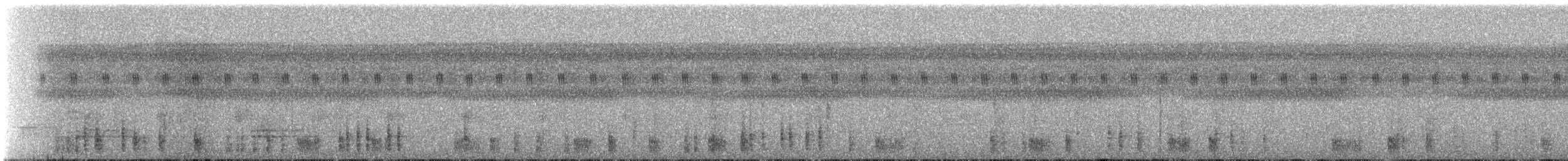 Cucarachero Musical (modulator) - ML239920