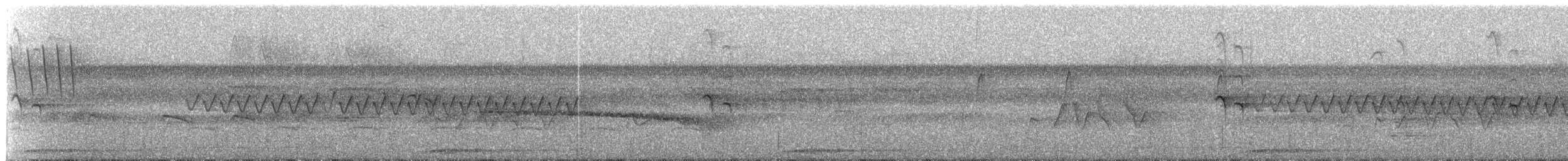 Troglodyte denté - ML239921