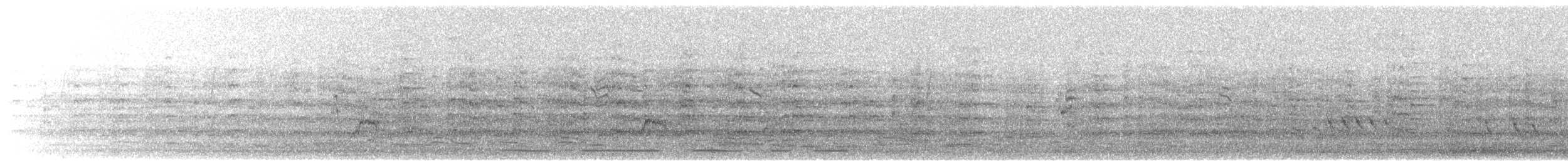 תורית יהלומית - ML239961661