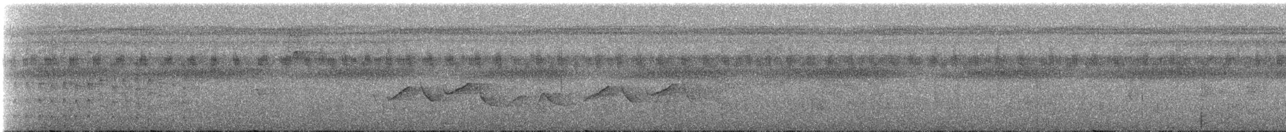 Белокрылая сорокопутовая танагра - ML239995