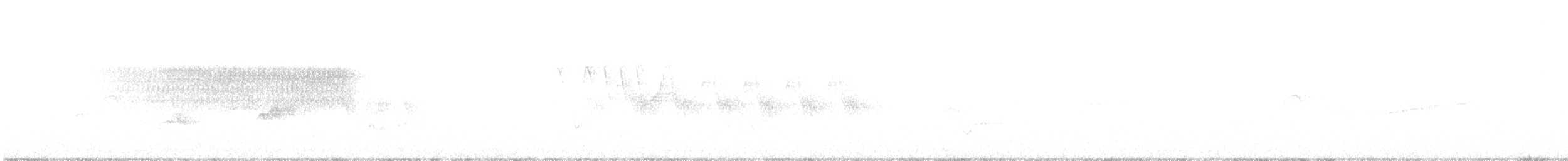 Paruline vermivore - ML240018261