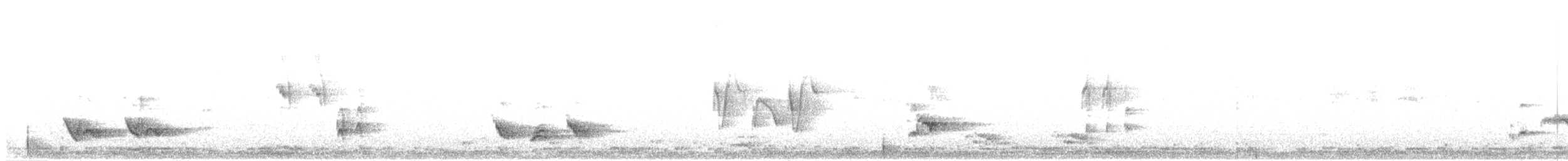 Brown Thrasher - ML240053241