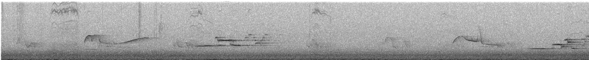 Дрізд-короткодзьоб плямистоволий - ML240061361