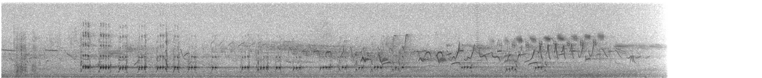 Black Woodpecker - ML240067