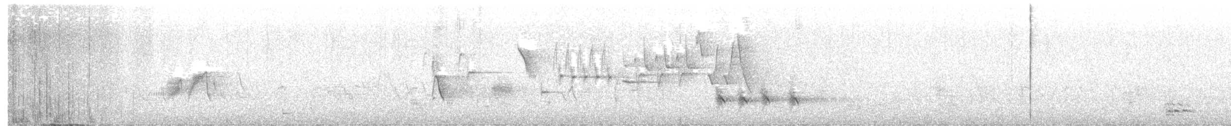 Flötenstärling - ML240078191