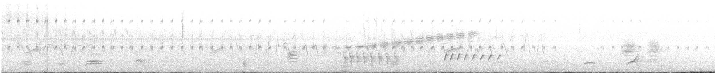 Ictérie polyglotte - ML240080311