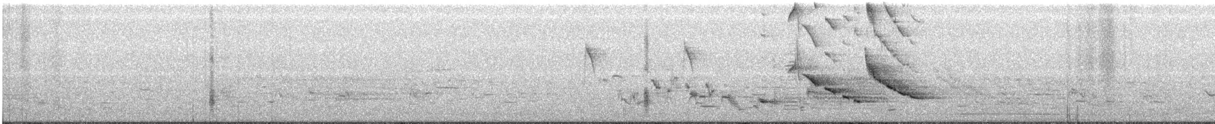 Sturnella meadowlark sp. - ML240081661