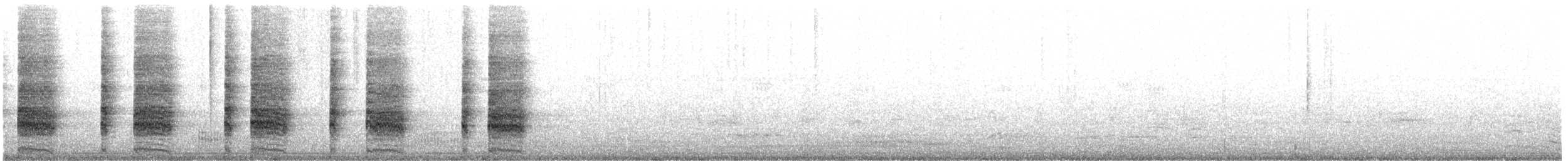 marskrikse (longirostris gr.) - ML240084831
