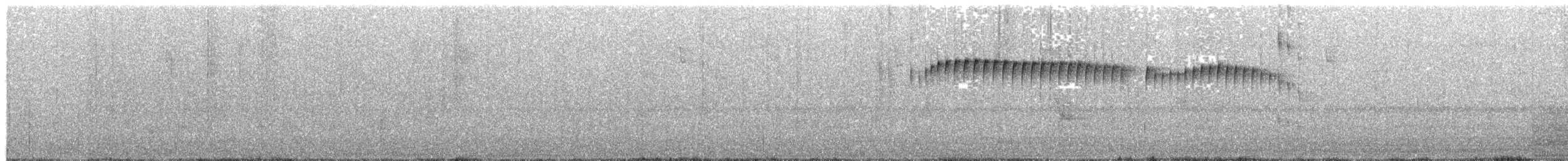 Grayish Piculet - ML24008531