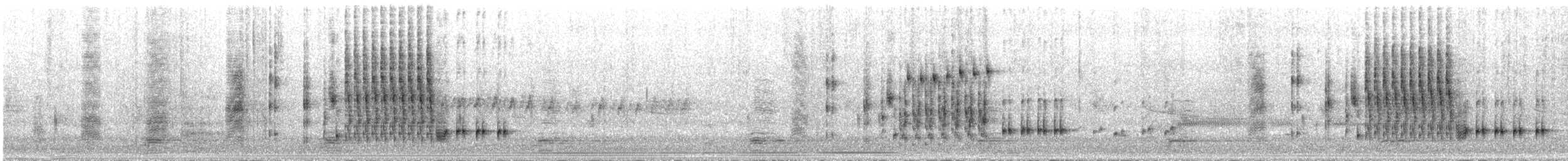Marsh Wren (palustris Group) - ML240104071