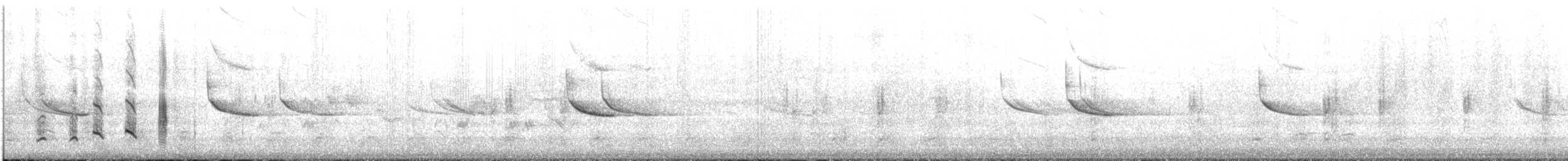 Fischadler (carolinensis) - ML240110251