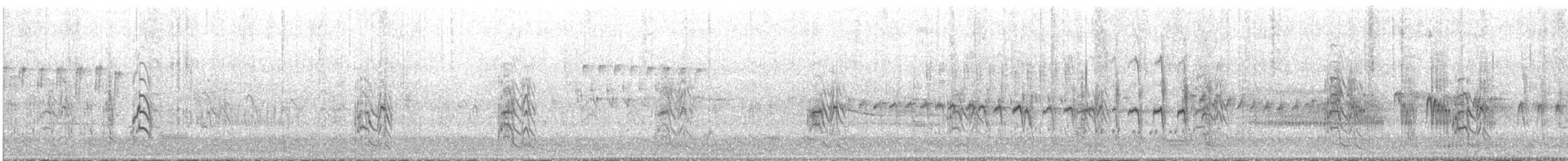 Trauerseeschwalbe (surinamensis) - ML240112261
