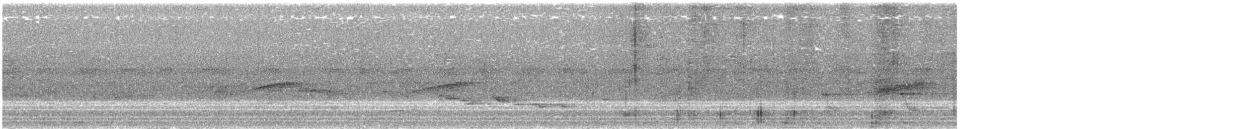 Eastern Wood-Pewee - ML240115911