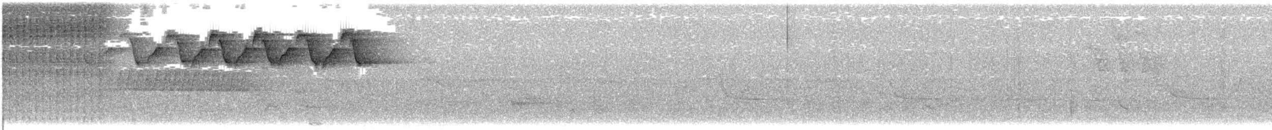 Black-and-white Warbler - ML240116081