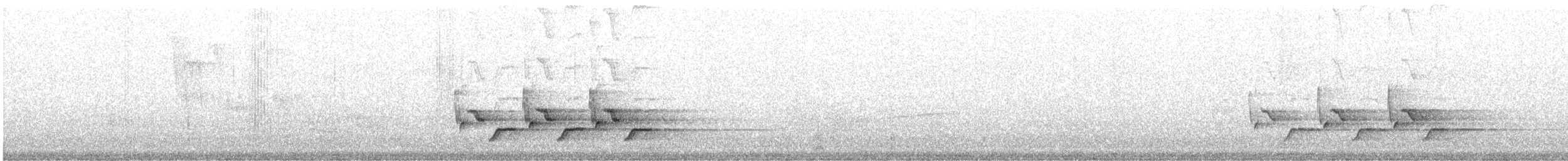 Каролинский крапивник - ML240117711