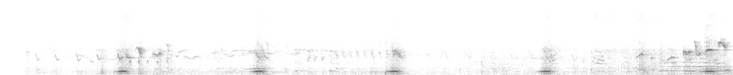 Бугайчик звичайний - ML240119701