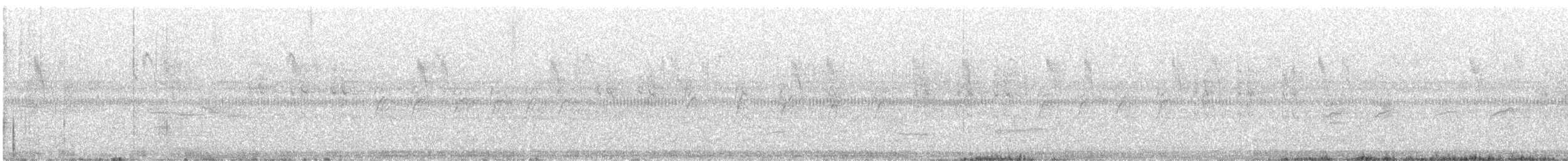 Zwergdommel - ML240132691