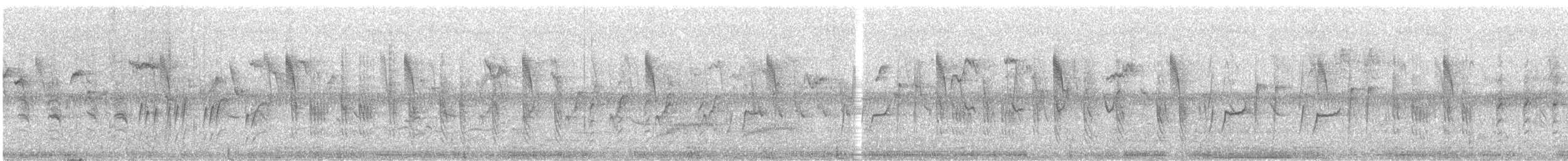 Teichrohrsänger - ML240135541