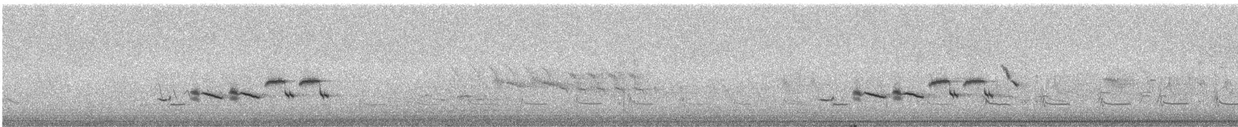 sibirspurv - ML240136