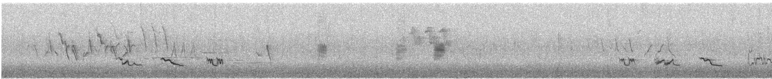 カオグロアメリカムシクイ - ML240136751