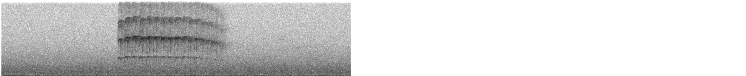 strakapoud osikový - ML240154121