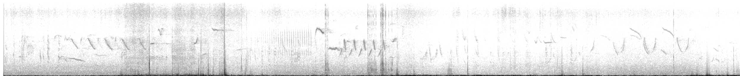 Txinbo papargorrizta iberiarra - ML240166561