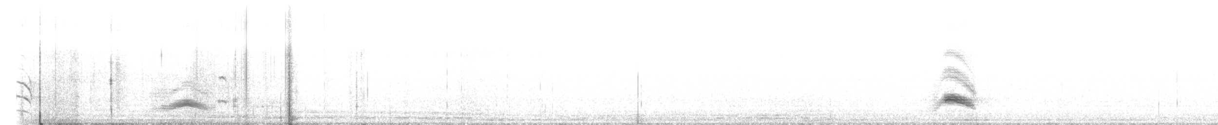 Серогрудый тиранн - ML240170321