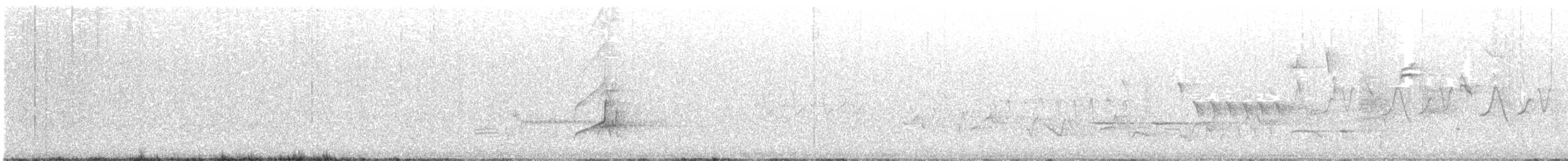 Sarı Karınlı Sinekkapan - ML240171711