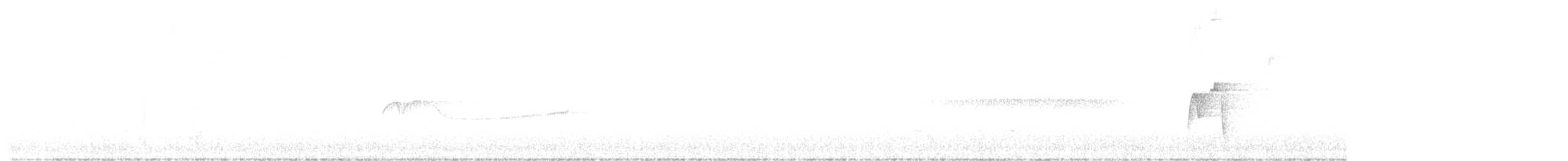 Acadian Flycatcher - ML240178971