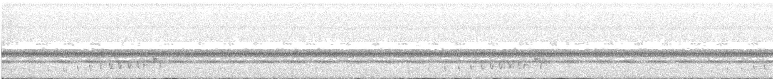 Buff-collared Nightjar - ML240201361