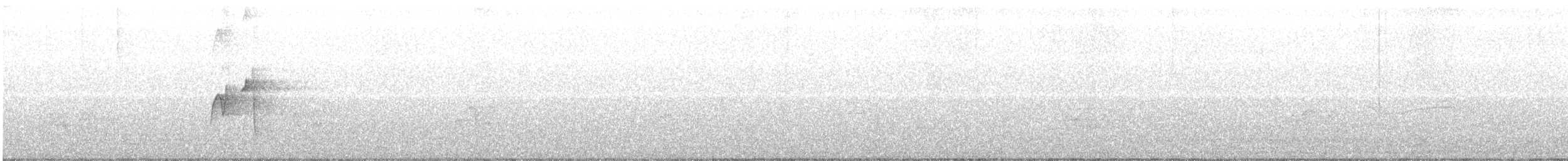 חטפית ירקרקה - ML240204091