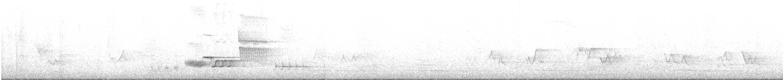 Walddrossel - ML240213361
