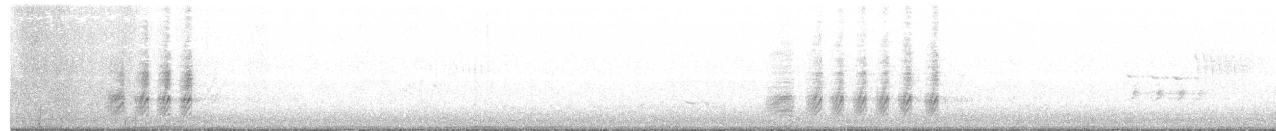 Black-billed Magpie - ML240216301