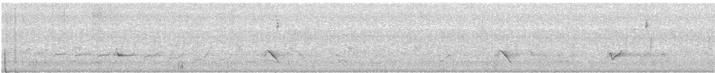 Gray Vireo - ML240217471