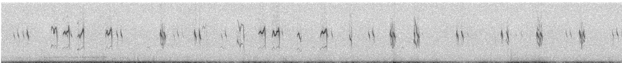 Meadow Pipit - ML240224