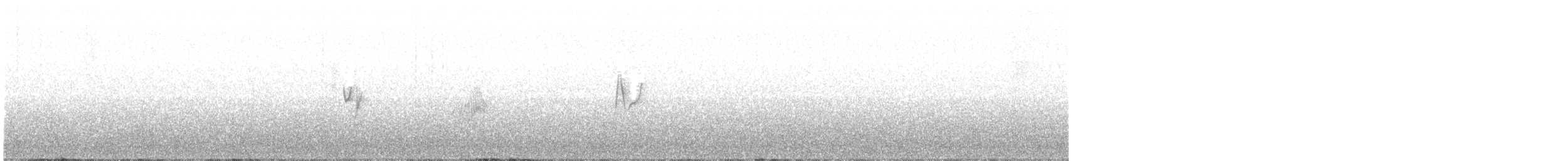 Empidonax sp. - ML240228231
