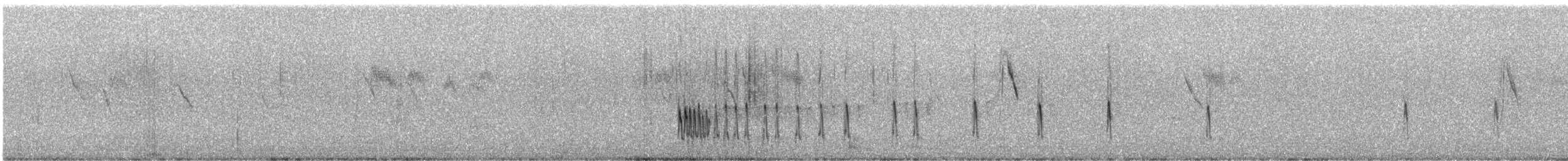 Correlimos Falcinelo - ML240236