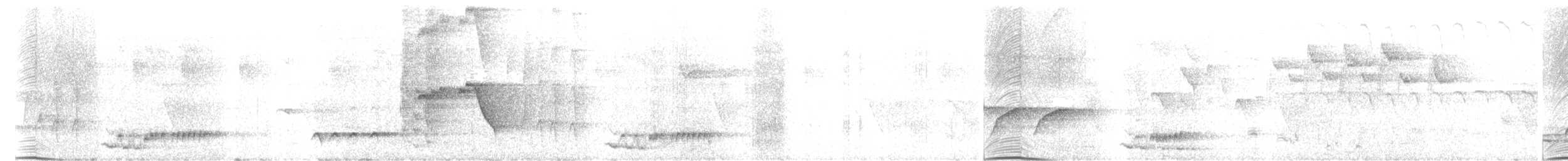 Shama à croupion blanc - ML240238361