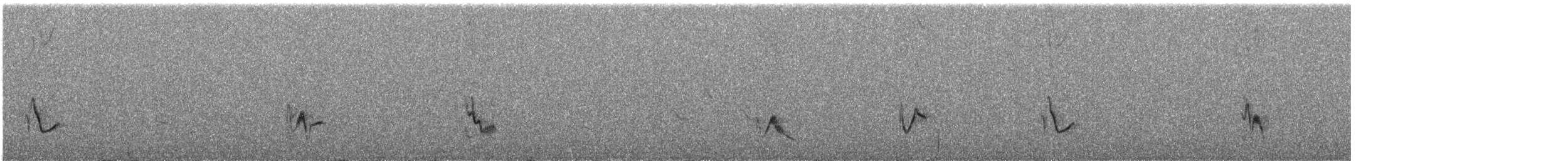 Gray Vireo - ML240244611