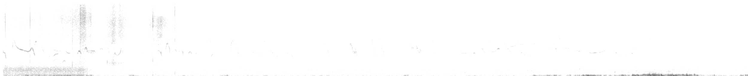 Kutturlio arrunta - ML240251121