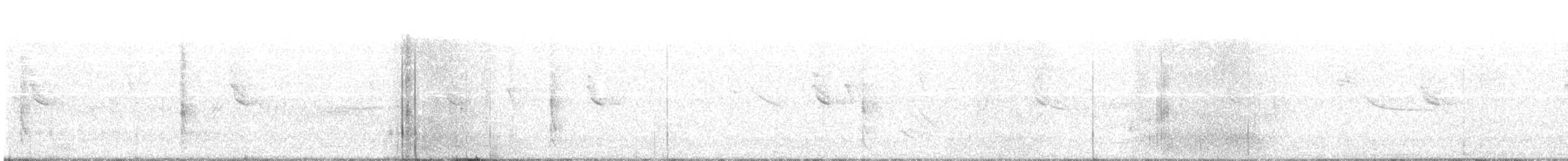 オオムジツグミモドキ - ML240253581