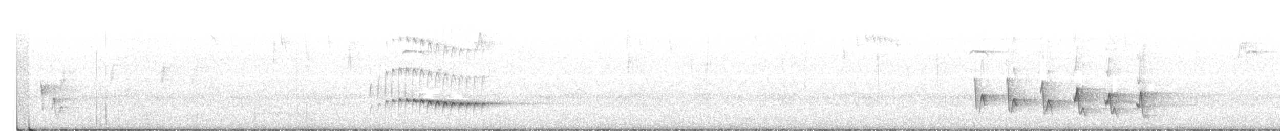 Fan-tailed Cuckoo - ML240261721