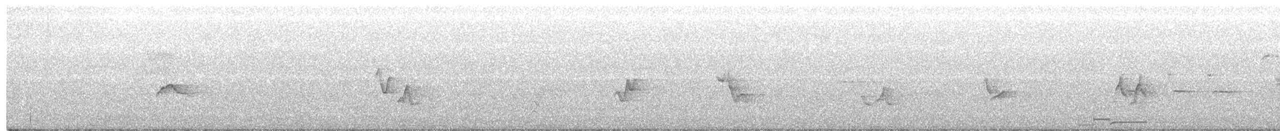 Philadelphia Vireo - ML240268961