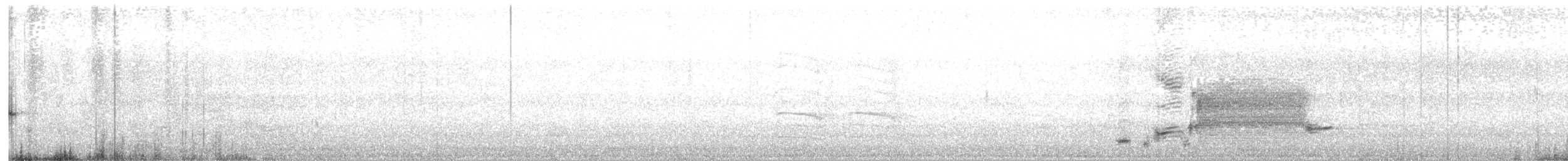 rødvingetrupial (phoeniceus gr.) - ML240272011