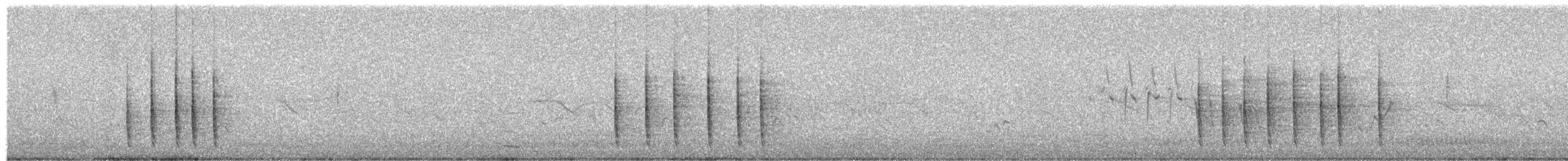 Ring Ouzel - ML240285