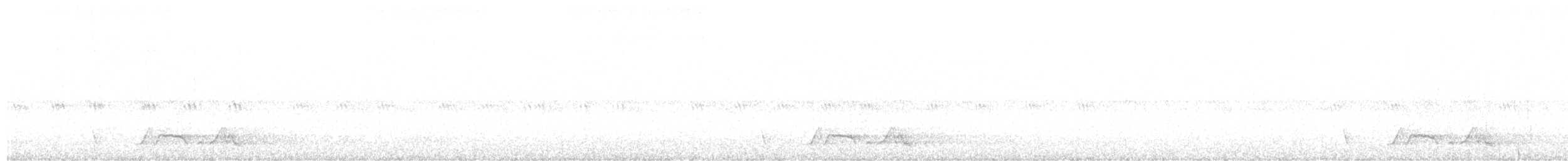 Chuck-will's-widow - ML240291281