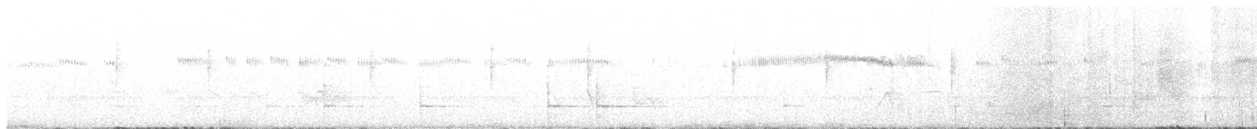 Широкохвостый колибри - ML240299971