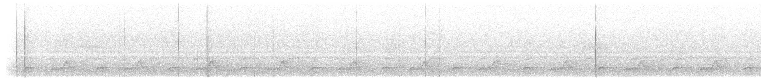 Schwarzkehl-Nachtschwalbe - ML240309661